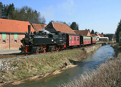 995906-lssP8961-Strassberg-20070328-Holzborn