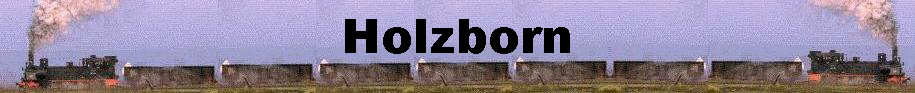 Banner-Holzborn